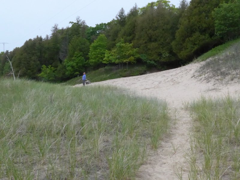 walkingonthebeachnorthshore.jpg