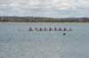 dsc_09979a_small.jpg