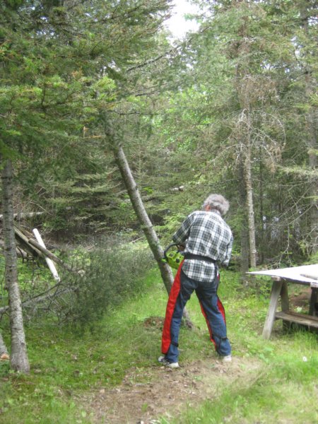 clearingfallentrees.jpg